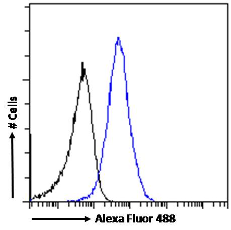 Flow Cytometry - Anti-58K Golgi protein antibody - Golgi Marker (AB19072), expandable thumbnail