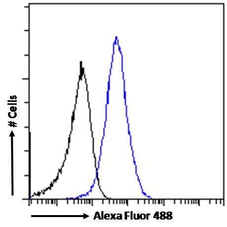 Flow Cytometry - Anti-58K Golgi protein antibody - Golgi Marker (AB19072)
