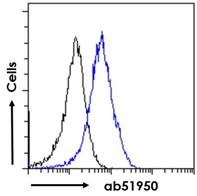 Flow Cytometry (Intracellular) - Anti-5HT3A receptor/5ht3 antibody (AB51950)