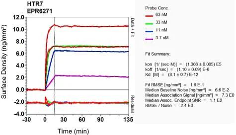 OI-RD Scanning - Anti-5HT7 Receptor antibody [EPR6271] - BSA and Azide free (AB248203)