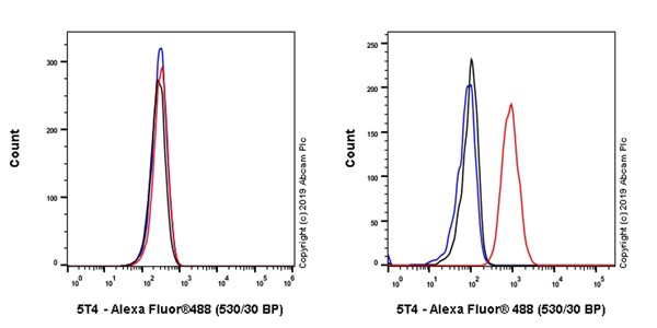 Flow Cytometry - Anti-5T4 antibody [B3F1] - BSA and Azide free (AB255924)