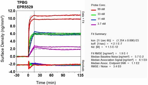 OI-RD Scanning - Anti-5T4 antibody [EPR5529] - BSA and Azide free (ab201711), expandable thumbnail