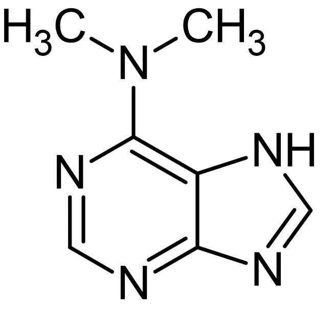Chemical Structure - 6-(Dimethylamino)purine, Puromycin analog (AB145307)