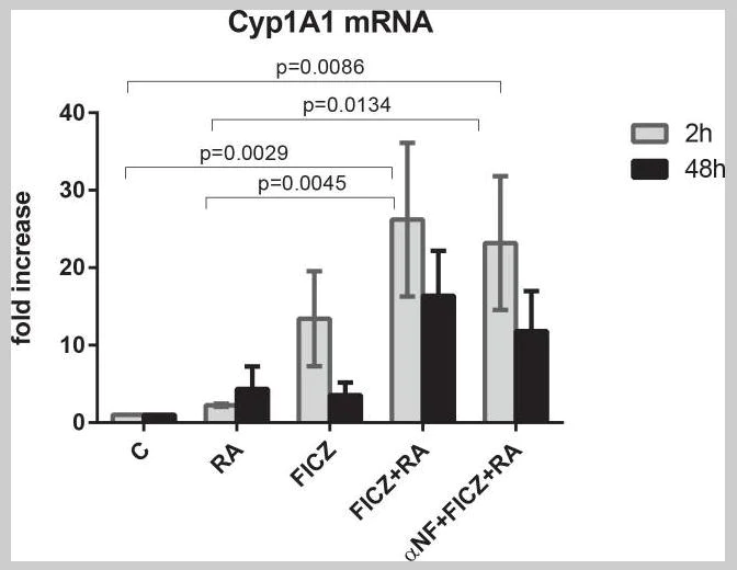 Functional Studies - 6-Formylindolo(3,2-b)carbazole, Aryl hydrocarbon receptor ligand (AB141631)
