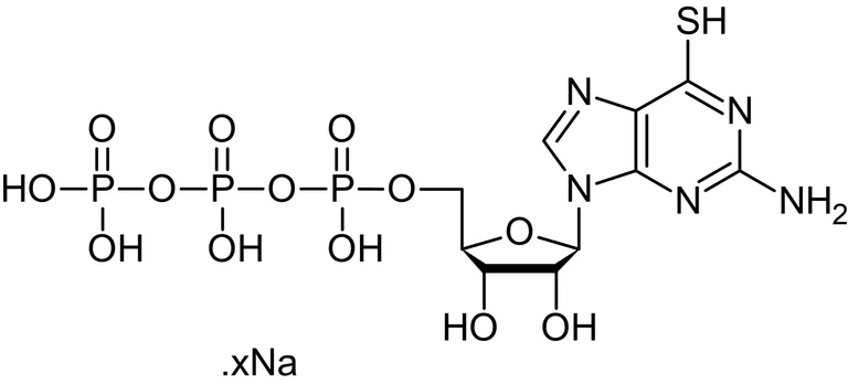 Chemical Structure - 6-Thio-GTP (aqueous solution) (Thiogtp), Vac-1-Rac signaling inhibitor (AB146746)