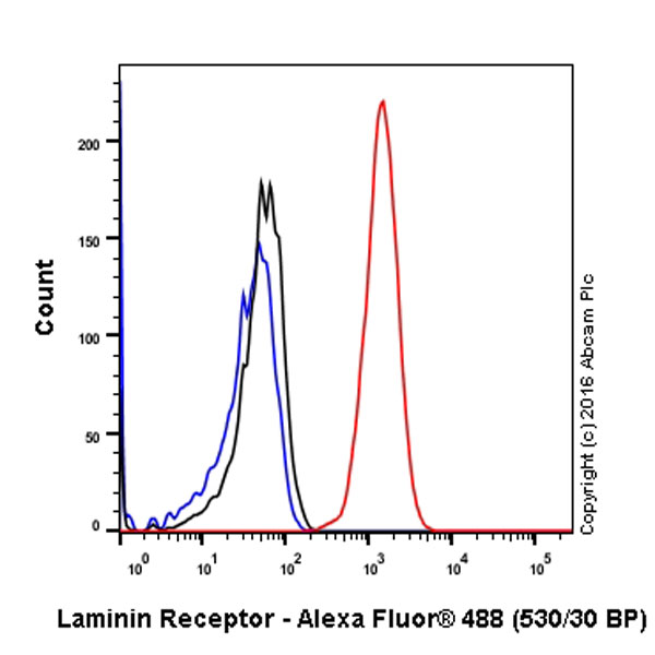 Flow Cytometry (Intracellular) - Anti-67kDa Laminin Receptor antibody [EPR8469] (AB133645), expandable thumbnail
