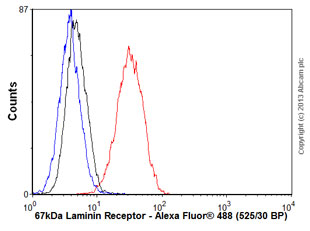 Flow Cytometry (Intracellular) - Anti-67kDa Laminin Receptor antibody [EPR8469] (ab133645), expandable thumbnail