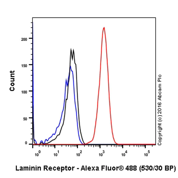 Flow Cytometry (Intracellular) - Anti-67kDa Laminin Receptor antibody [EPR8469] - BSA and Azide free (AB240075)