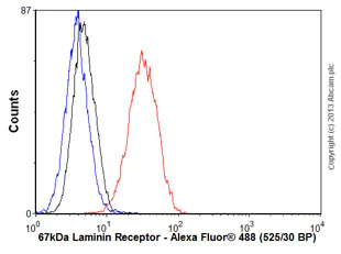 Flow Cytometry (Intracellular) - Anti-67kDa Laminin Receptor antibody [EPR8469] - BSA and Azide free (AB240075)