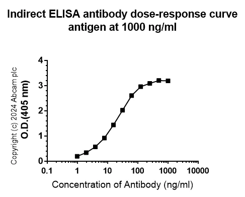 Indirect ELISA - Anti-68kDa Neurofilament/NF-L antibody [EPR22035-112] - BSA and Azide free (AB238420)