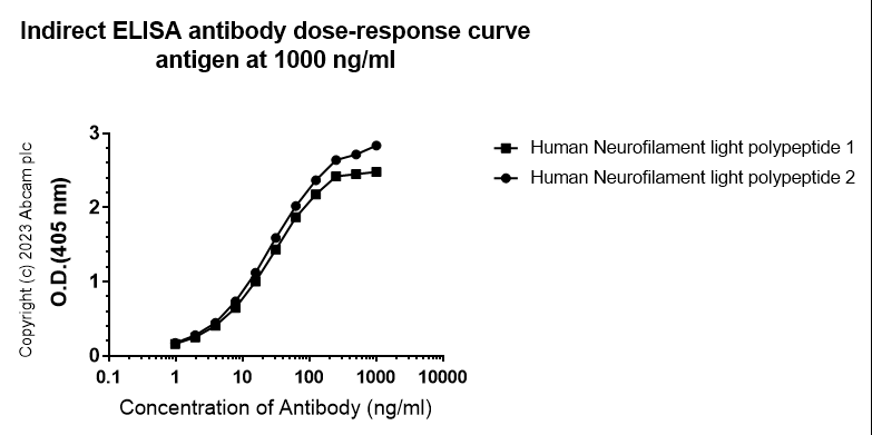 Indirect ELISA - Anti-68kDa Neurofilament/NF-L (C-term) antibody [EPR28784-63] (ab315814), expandable thumbnail