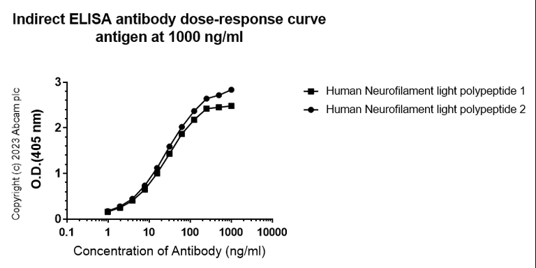 Indirect ELISA - Anti-68kDa Neurofilament/NF-L (C-term) antibody [EPR28784-63] (AB315814)