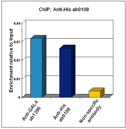 ChIP - Anti-6X His tag® antibody (AB9108)