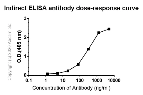 Indirect ELISA - Anti-6X His tag® antibody [AD1.1.10] (AB15149)