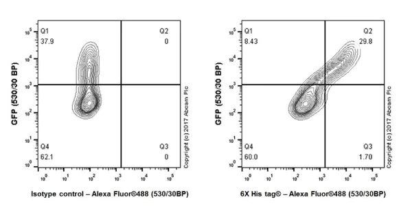 Flow Cytometry - Anti-6X His tag® antibody [EPR20547] - BSA and Azide free (AB232492)