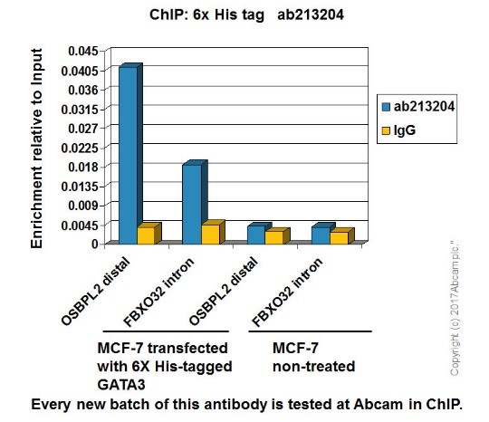 ChIP - Anti-6X His tag® antibody [EPR20547] - ChIP Grade (AB213204), expandable thumbnail