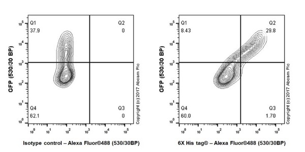Flow Cytometry - Anti-6X His tag® antibody [EPR20547] - ChIP Grade (AB213204), expandable thumbnail