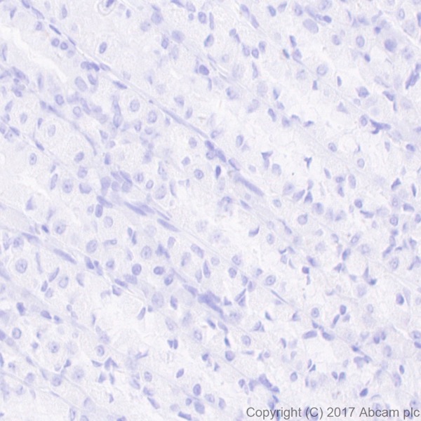 Immunohistochemistry (Formalin/PFA-fixed paraffin-embedded sections) - Anti-6X His tag® antibody [EPR20547] - ChIP Grade (ab213204), expandable thumbnail