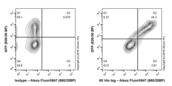 Flow Cytometry - Anti-6X His tag® antibody [JPAR-2] (AB245114)