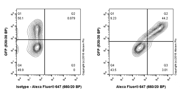 Flow Cytometry - Anti-6X His tag® antibody [JPAR-2] - BSA and Azide free (AB245203)