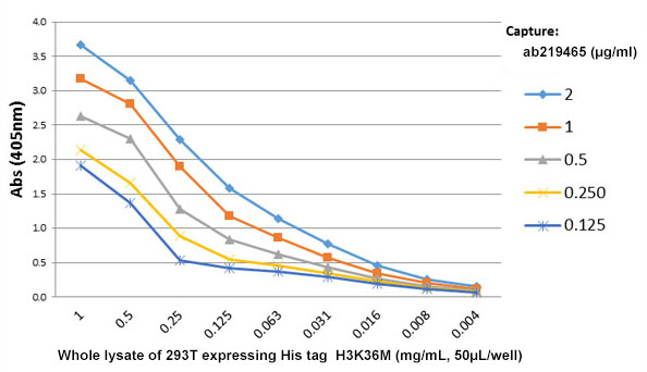 Sandwich ELISA - Anti-6X His tag® antibody [RMH01] (AB219465)