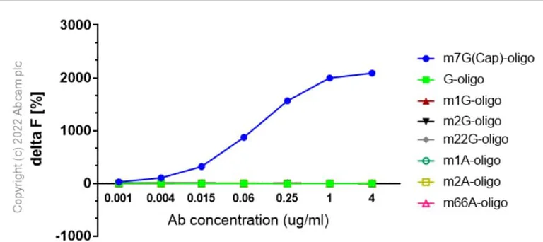 Fluorescence Resonance Energy Transfer - Anti-7-Methylguanosine antibody [EPR20846-92] (BSA and Azide free) (AB300741)