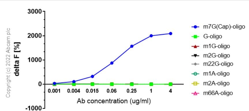 FRET - Anti-7-Methylguanosine antibody [EPR20846-92] (BSA and Azide free) (AB300741), expandable thumbnail