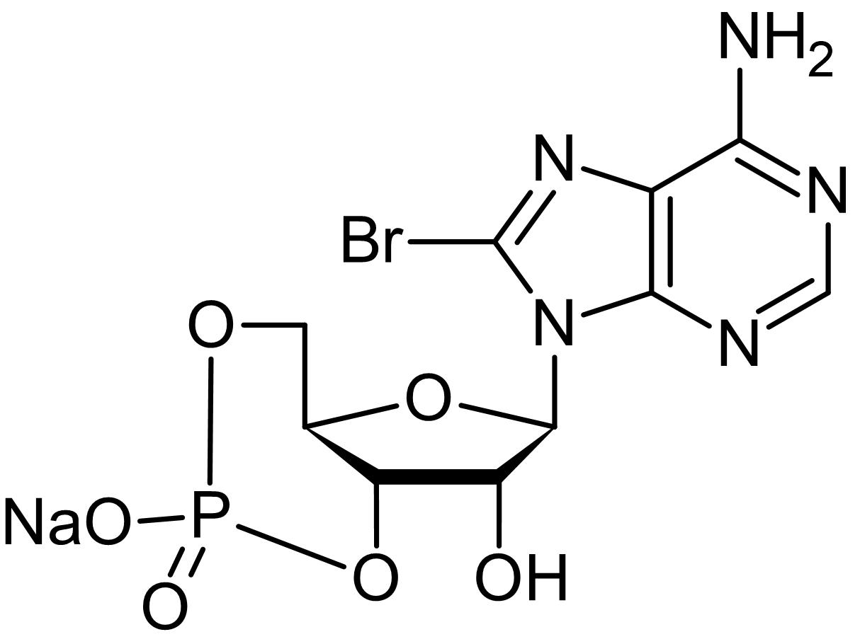 Chemical Structure - 8-Br-cAMP (8-Bromo-cAMP), PKA activator (AB141448)