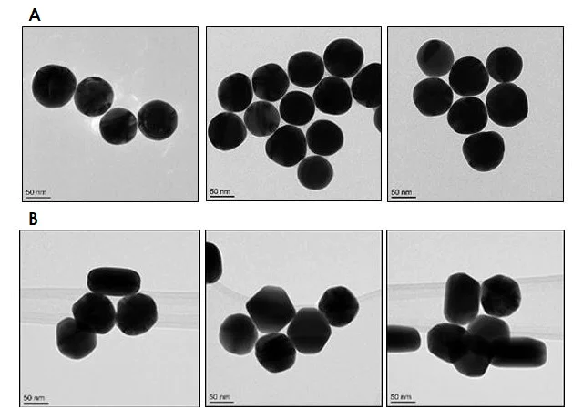 Electron Microscopy - 80nm Gold Nanoparticles (15 OD) (AB269941)