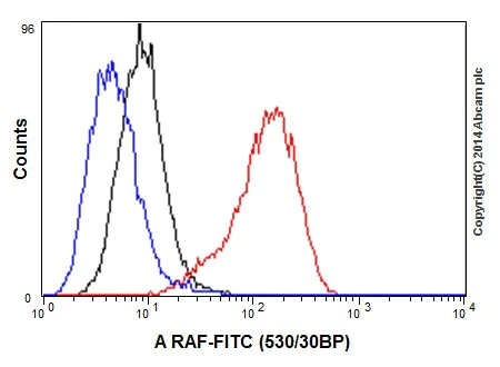 Flow Cytometry (Intracellular) - Anti-A-Raf antibody [EPR16208] - BSA and Azide free (AB240354)