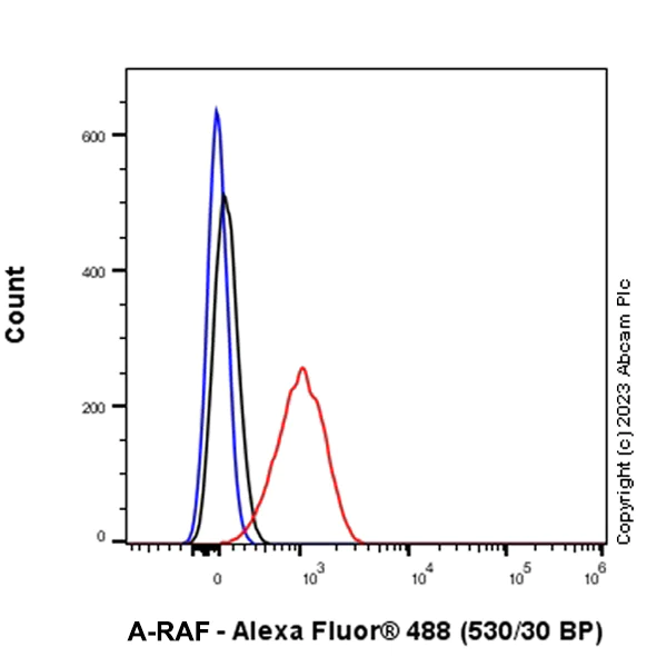 Flow Cytometry (Intracellular) - Anti-A-Raf antibody [EPR25405-17] - BSA and Azide free (AB314540)