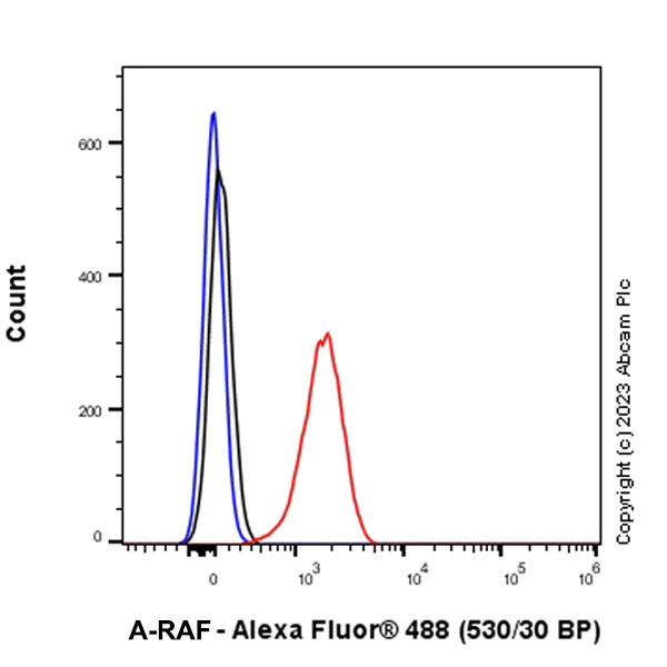 Flow Cytometry (Intracellular) - Anti-A-Raf antibody [EPR25405-17] - BSA and Azide free (AB314540)