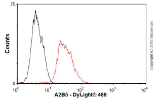 Flow Cytometry (Intracellular) - Anti-A2B5 antibody [105] (AB53521)