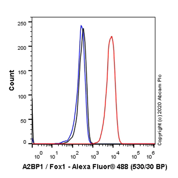 Flow Cytometry (Intracellular) - Anti-A2BP1/Fox1/RBFOX1 antibody [EPR23627-50] - BSA and Azide free (AB278528)