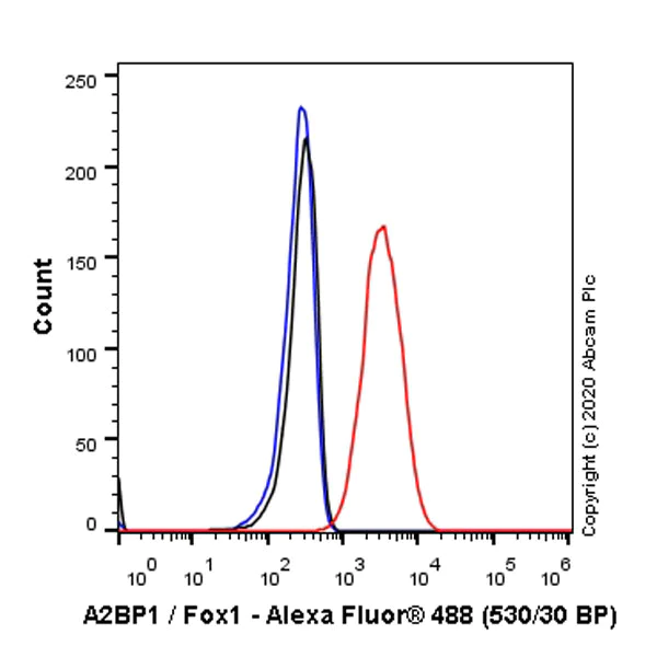 Flow Cytometry (Intracellular) - Anti-A2BP1/Fox1/RBFOX1 antibody [EPR23627-50] - BSA and Azide free (AB278528)