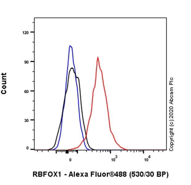 Flow Cytometry (Intracellular) - Anti-A2BP1/Fox1/RBFOX1 antibody [EPR23656-5] - BSA and Azide free (AB278527)