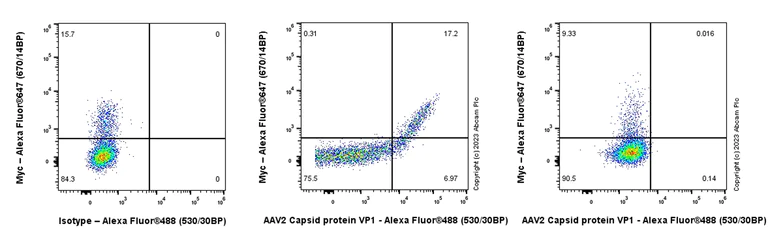 Flow Cytometry (Intracellular) - Anti-AAV2 Capsid protein VP1 antibody [EPR28595-59] - BSA and Azide free (AB315288)