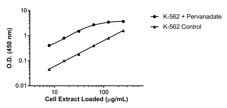 Sandwich ELISA - Anti-ABL1 (phospho Y412) antibody [EPR25808-83] - BSA and Azide free (Capture) (AB305193)