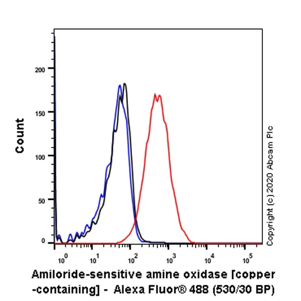 Flow Cytometry (Intracellular) - Anti-ABP1 antibody [EPR24299-52] - BSA and Azide free (AB278501)