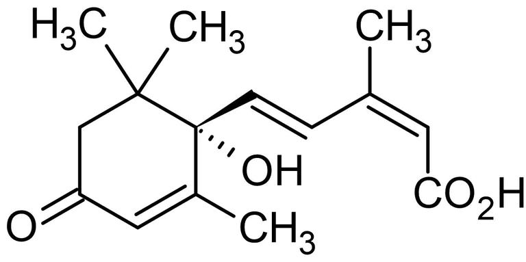 Chemical Structure - (+)-Abscisic acid, Phytohormone (AB120860)