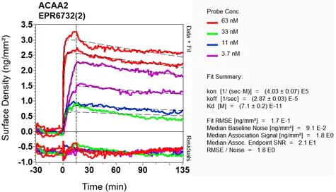 OI-RD Scanning - Anti-ACAA2 antibody [EPR6732(2)] (AB128929)