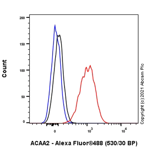 Flow Cytometry (Intracellular) - Anti-ACAA2 antibody [EPR6732(2)] - BSA and Azide free (AB248228)
