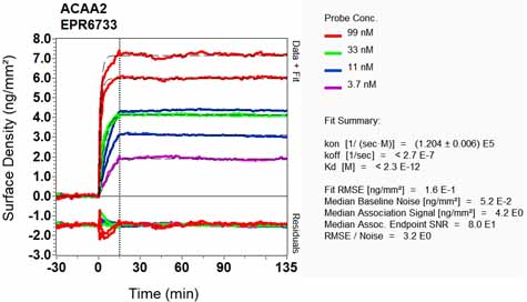 OI-RD Scanning - Anti-ACAA2 antibody [EPR6733] (AB128911), expandable thumbnail