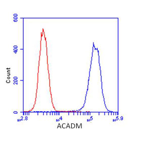 Flow Cytometry - Anti-ACADM/MCAD antibody [3B7BH7] (AB110296), expandable thumbnail