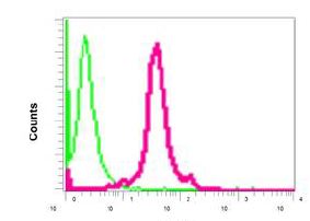 Flow Cytometry (Intracellular) - Anti-ACADS/SCAD antibody [EPR10861(B)] (AB154823)