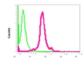 Flow Cytometry (Intracellular) - Anti-ACADS/SCAD antibody [EPR10861(B)] (AB154823)