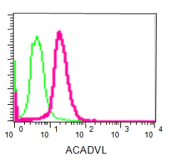 Flow Cytometry (Intracellular) - Anti-ACADVL/VLCAD antibody [EPR15107(B)] - BSA and Azide free (AB231827)