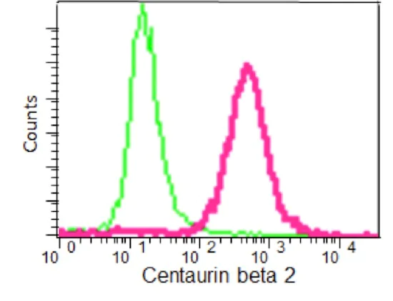 Flow Cytometry (Intracellular) - Anti-ACAP2 antibody [EPR15721] - BSA and Azide free (AB232615)