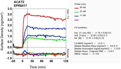 OI-RD Scanning - Anti-ACAT2/Acetyl-CoA acetyltransferase antibody [EPR8417] - BSA and Azide free (AB248375)