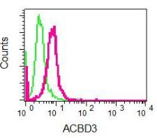Flow Cytometry (Intracellular) - Anti-ACBD3 antibody [EPR8623] (AB134952), expandable thumbnail